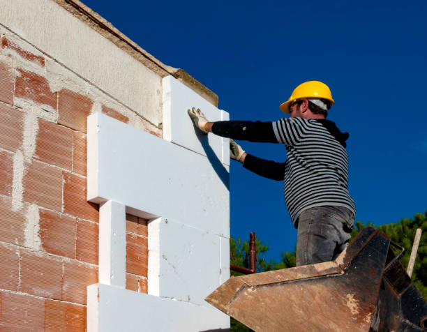 Best Home Insulation Services  in Sauk Vlage, IL