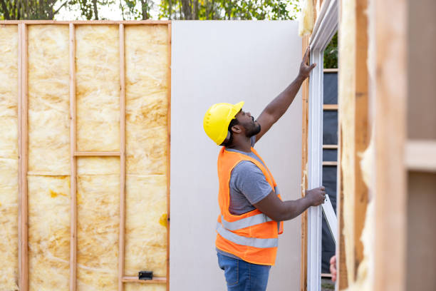 Best Residential Insulation Services  in Sauk Vlage, IL