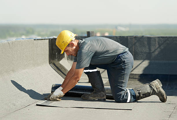 Best Attic Insulation Installation  in Sauk Vlage, IL